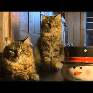 Meet your Posher, Sandra